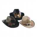 Sombrero Cowboy con plumas